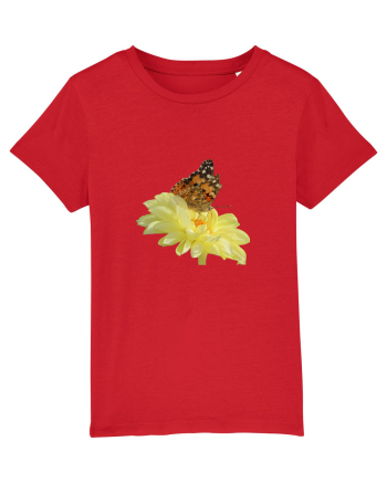 Un fluture si o floare Red