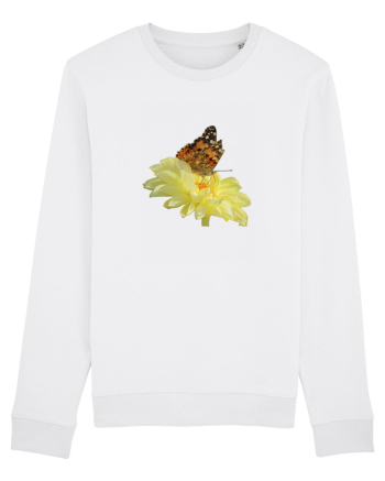 Un fluture si o floare White