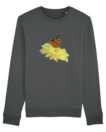 Un fluture si o floare Anthracite
