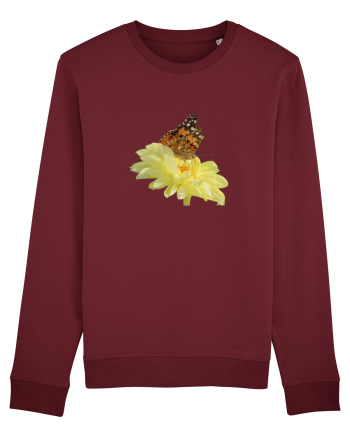 Un fluture si o floare Burgundy