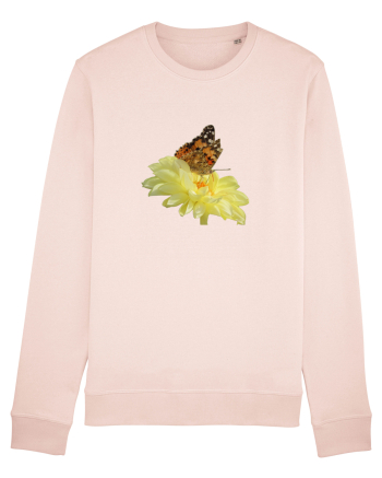 Un fluture si o floare Candy Pink