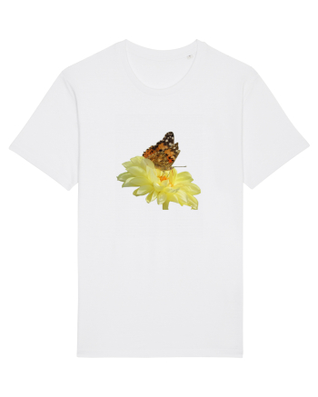 Un fluture si o floare White
