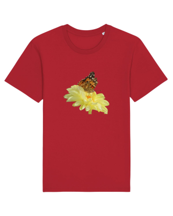 Un fluture si o floare Red