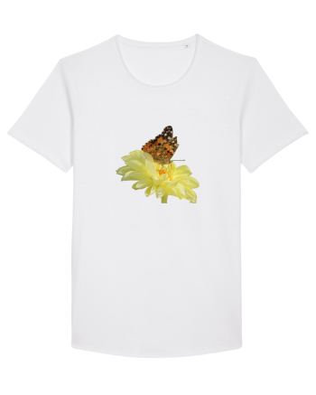 Un fluture si o floare White