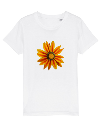 Floare multicolora White