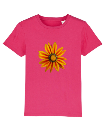 Floare multicolora Raspberry