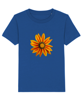 Floare multicolora Majorelle Blue