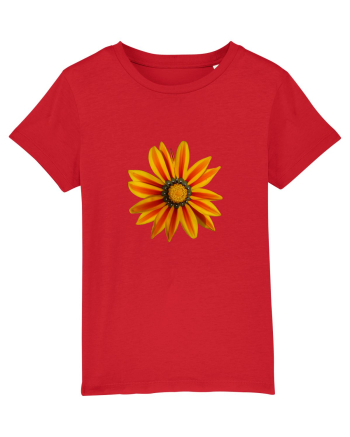 Floare multicolora Red