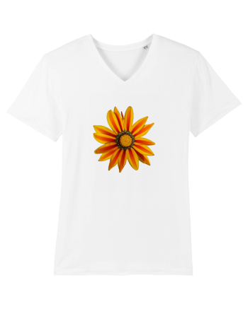 Floare multicolora White