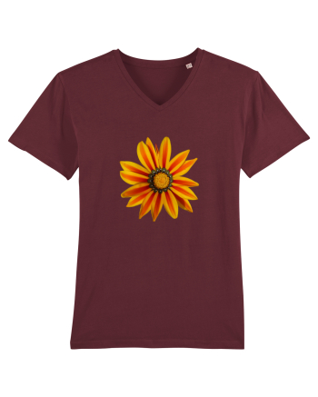 Floare multicolora Burgundy