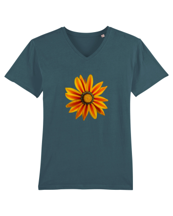 Floare multicolora Stargazer