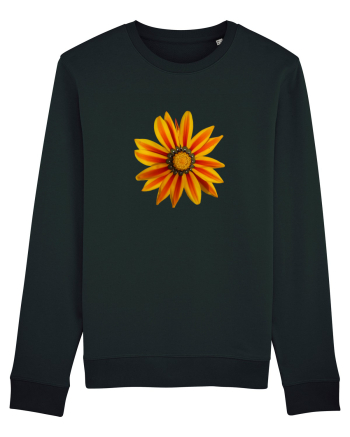 Floare multicolora Black