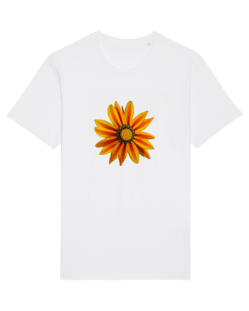 Floare multicolora White