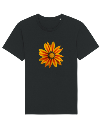 Floare multicolora Black