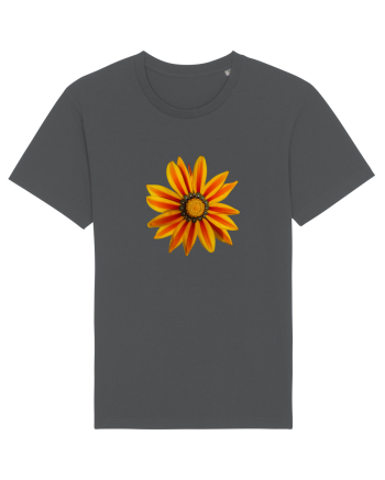 Floare multicolora Anthracite