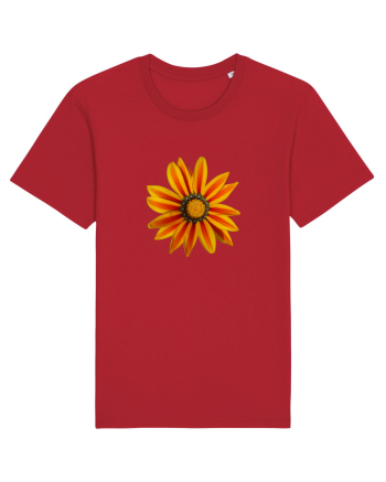 Floare multicolora Red