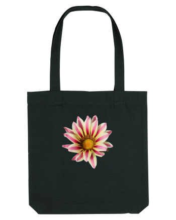 Floare in culori Black