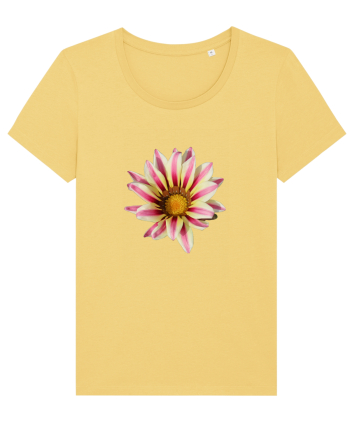 Floare in culori Jojoba