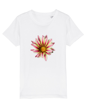 Floare in culori White