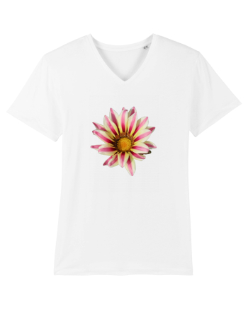 Floare in culori White