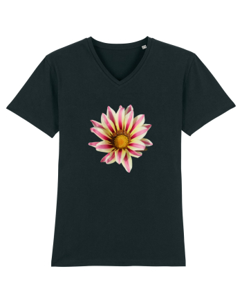 Floare in culori Black