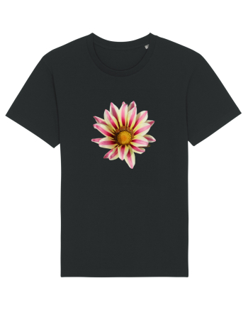 Floare in culori Black