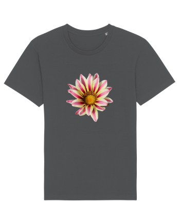 Floare in culori Anthracite