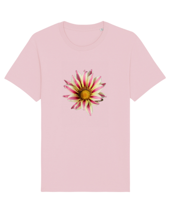 Floare in culori Cotton Pink