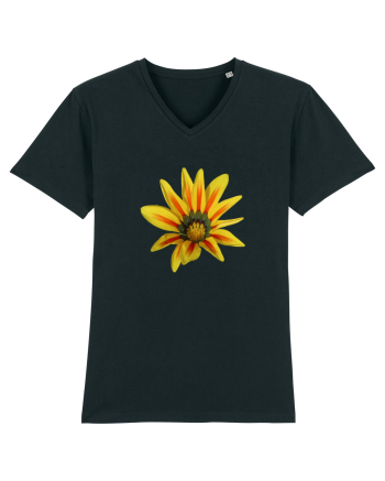 Floare galbena Black