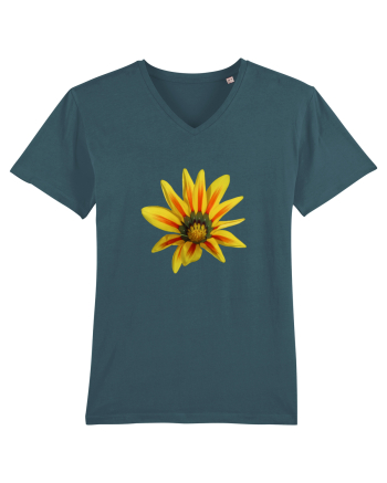 Floare galbena Stargazer