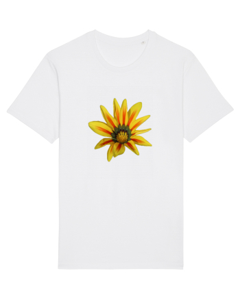 Floare galbena White