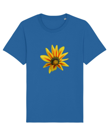 Floare galbena Royal Blue