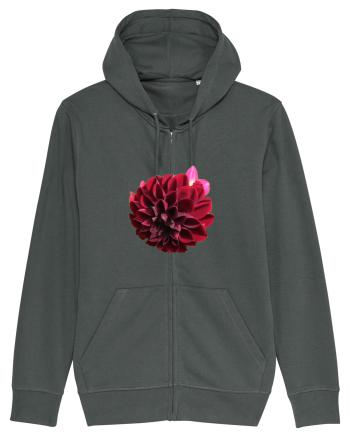 Floare rosu inchis Anthracite