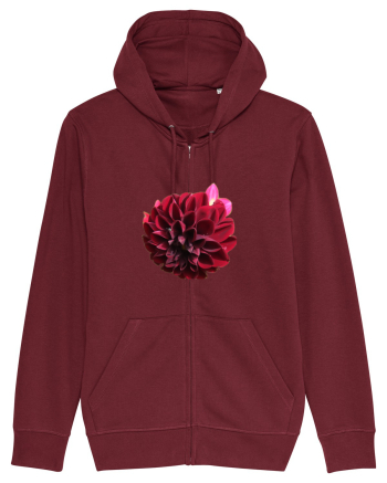 Floare rosu inchis Burgundy