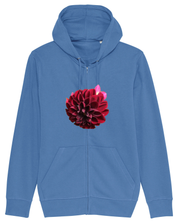 Floare rosu inchis Bright Blue