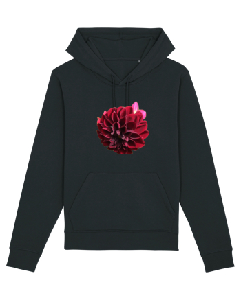 Floare rosu inchis Black