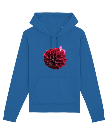 Floare rosu inchis Royal Blue