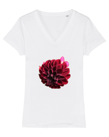 Floare rosu inchis White
