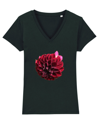 Floare rosu inchis Black