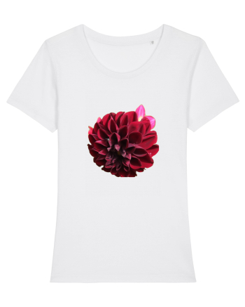 Floare rosu inchis White