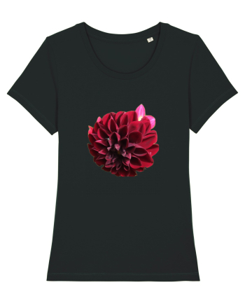 Floare rosu inchis Black