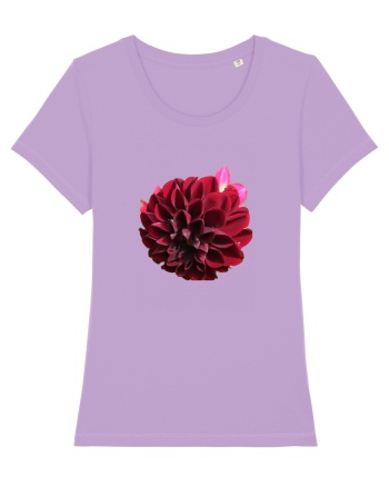 Floare rosu inchis Lavender Dawn