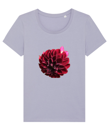 Floare rosu inchis Lavender