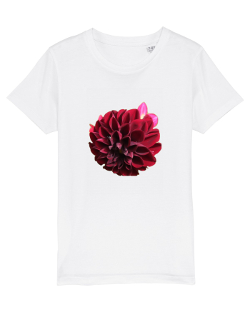 Floare rosu inchis White