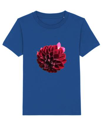 Floare rosu inchis Majorelle Blue