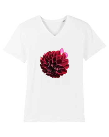 Floare rosu inchis White