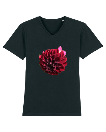 Floare rosu inchis Black