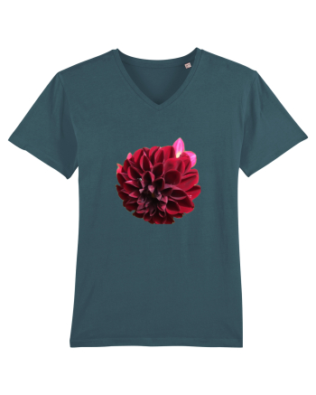 Floare rosu inchis Stargazer