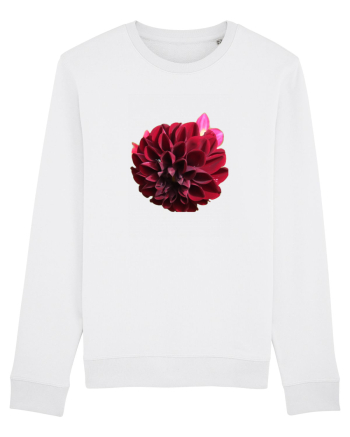 Floare rosu inchis White