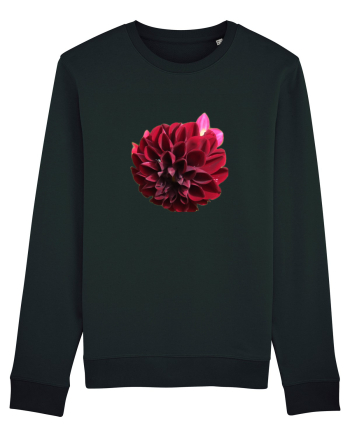 Floare rosu inchis Black